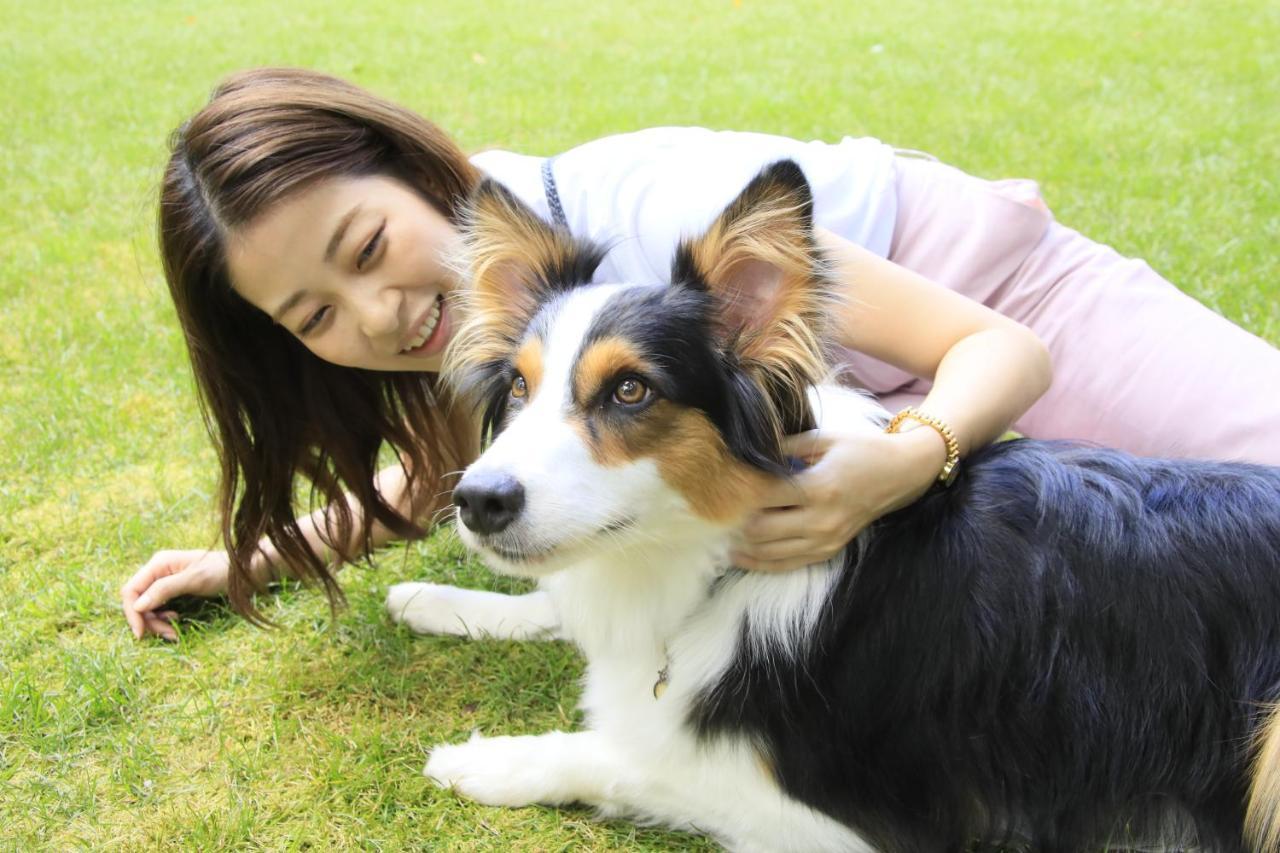 Yutorelo Tateshina Hotel With Dogs Chino Exteriör bild